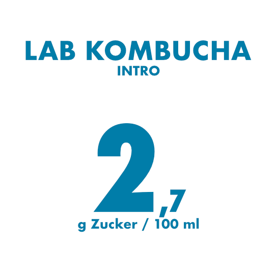 zuckergehalt lab kombucha intro